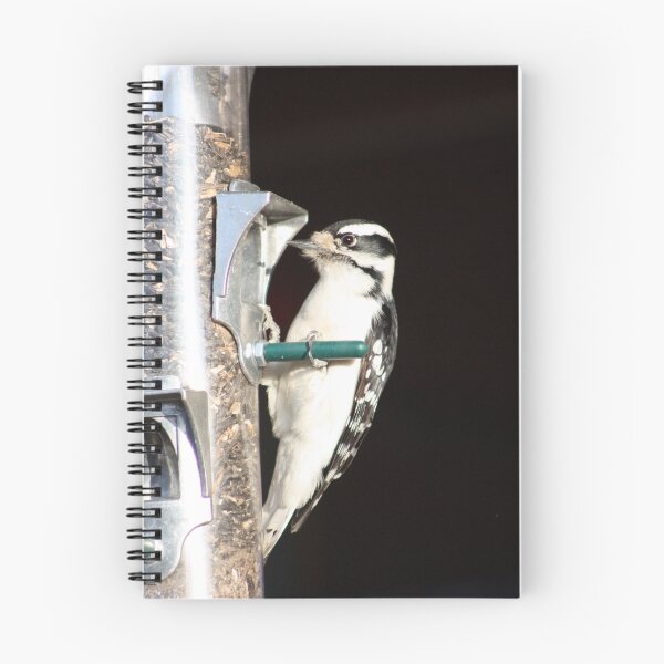 Item preview, Downy Woodpecker designed and sold by Alyce Taylor.