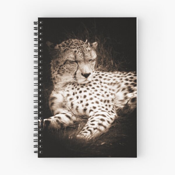 Item preview, Cheetah at Rest designed and sold by Ian Moss.