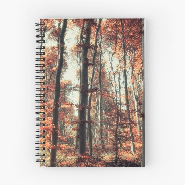 Item preview, Fall in the woods designed and sold by hraunphoto.
