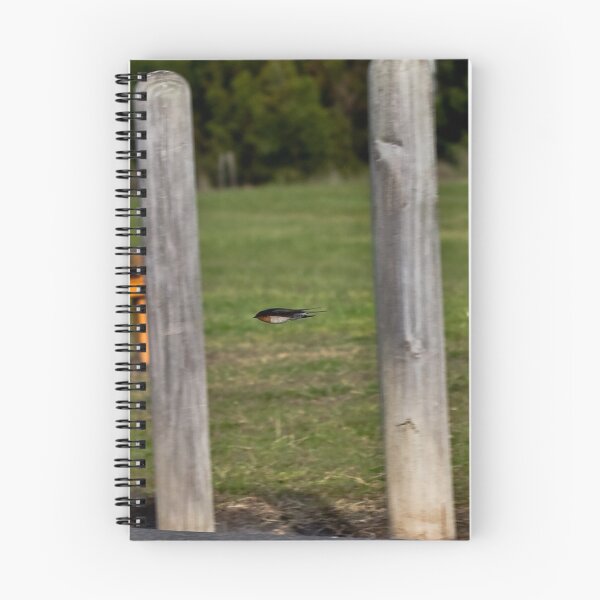 Item preview, Photoghraper one Swallow nil designed and sold by Hedoff.