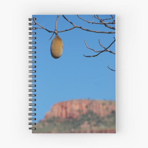 Item preview, Boab nut and Ridge designed and sold by Natika.