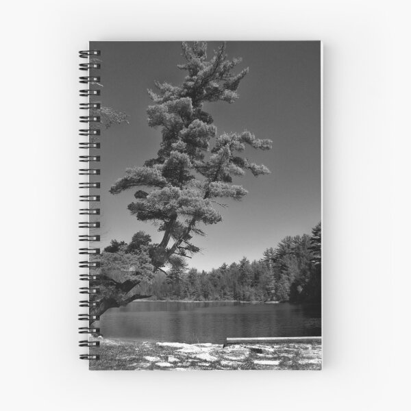 Aperçu de l'œuvre Tree créée et vendue par Webasto.