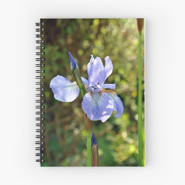 Item preview, Iris  designed and sold by Alan Reid.