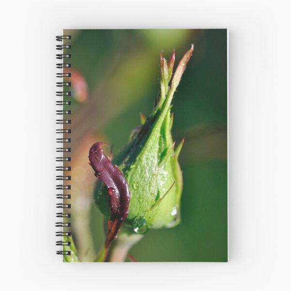 Item preview, Closed For Business designed and sold by Darren Bailey LRPS.