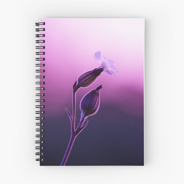 Item preview, Filtered Macro designed and sold by Simon Pattinson.