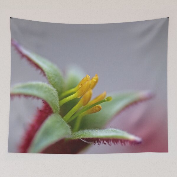 Item preview, Bush Ballad designed and sold by imaginethis.
