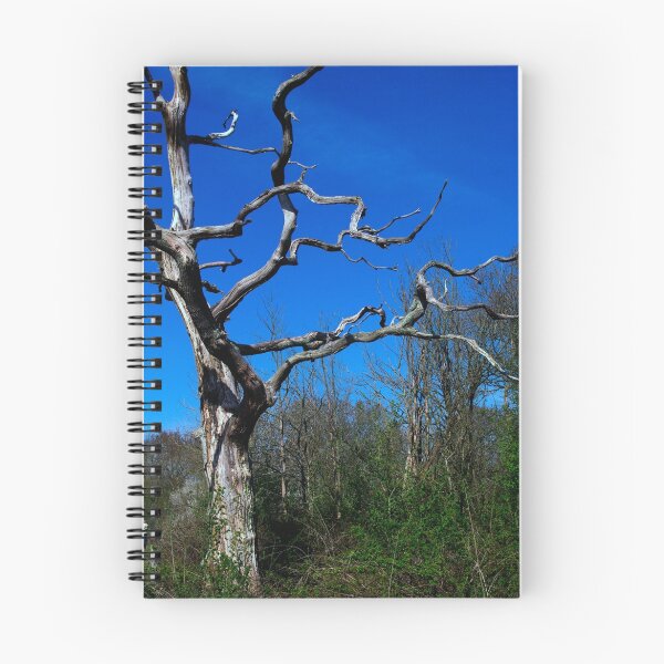 Item preview, Dead Tree - Dorset designed and sold by Richard Dunstan.