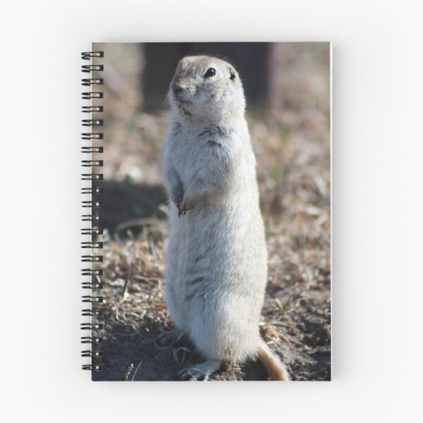Item preview, Black-Tailed Prairie Dog designed and sold by Alyce Taylor.