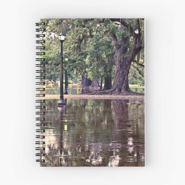 Item preview, Rain Soaked Audubon designed and sold by RayDevlin.