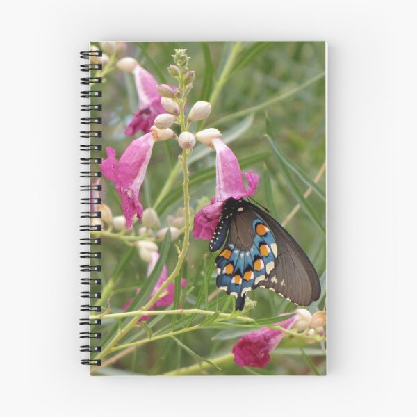 Artikelvorschau, Butterfly ~ Pipevine Swallowtail entworfen und verkauft von Luck of the Shutter.