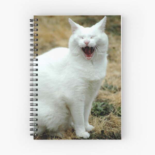 Item preview, Laughing cat designed and sold by Robin Nellist.