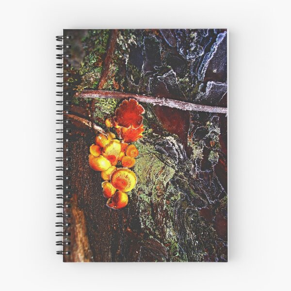 Artikelvorschau, Frosty fungi entworfen und verkauft von Virginia Daniels.