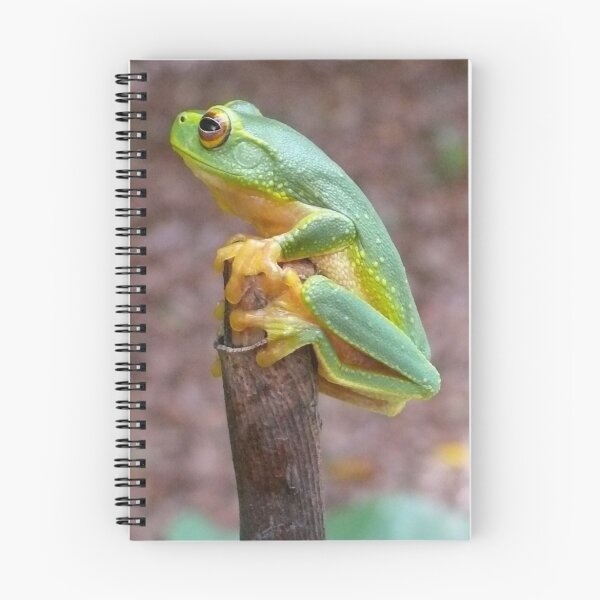 Artikelvorschau, Tree Frog entworfen und verkauft von elsha.