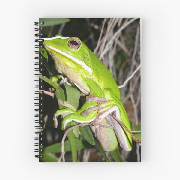 Item preview, White Lipped Green tree Frog designed and sold by elsha.