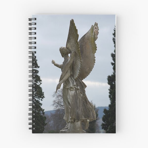 Item preview, Garden statue designed and sold by Declan Carr.