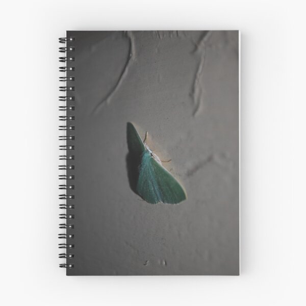 Item preview, Lonely Night For A Moth designed and sold by Peter Billiau.