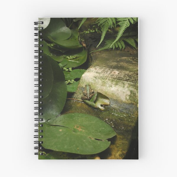 Aperçu de l'œuvre  A Green Frog créée et vendue par lilac.