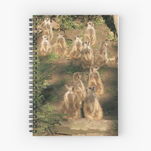 Item preview, Meerkats of Oakland Zoo designed and sold by Anthony Brewer.