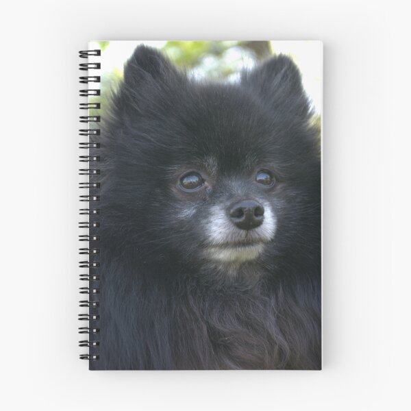 Item preview, Yes, I'm a Pooch... What's it to ya!! designed and sold by Larry Llewellyn.
