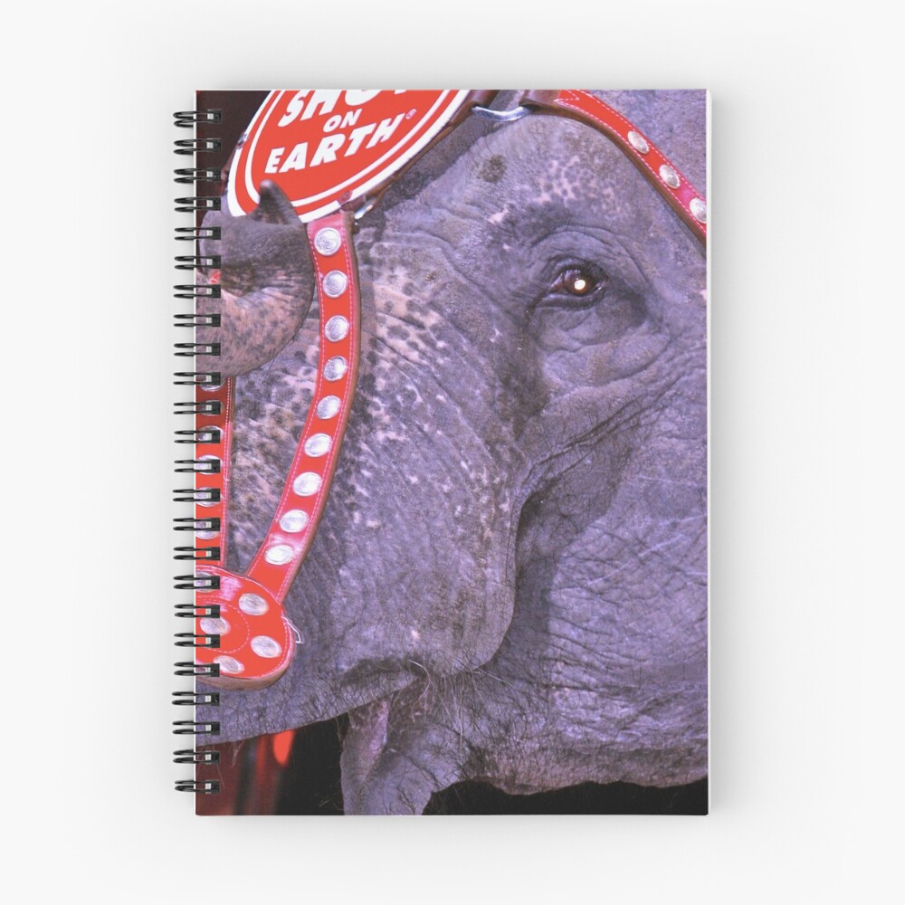 Item preview, Spiral Notebook designed and sold by sforest.