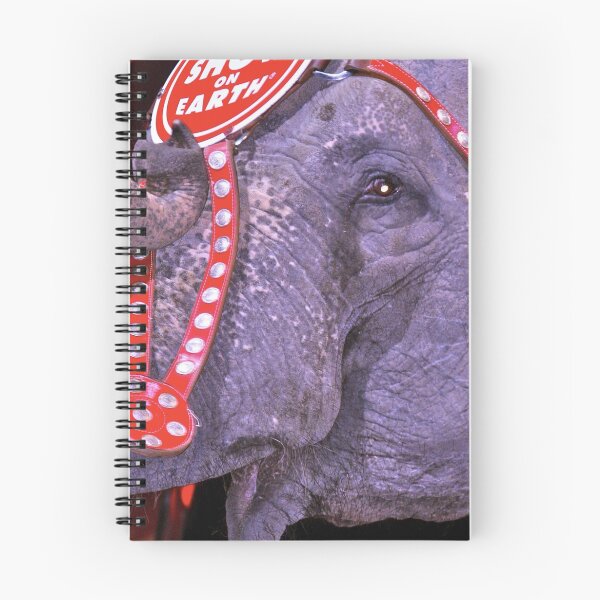 Item preview, Circus Elephant designed and sold by Stacie Forest.