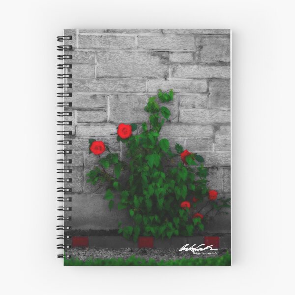 Item preview, Selective designed and sold by andrewtconnell.