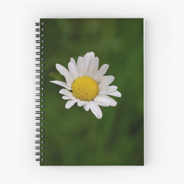 Item preview, Marguerite designed and sold by Declan Carr.