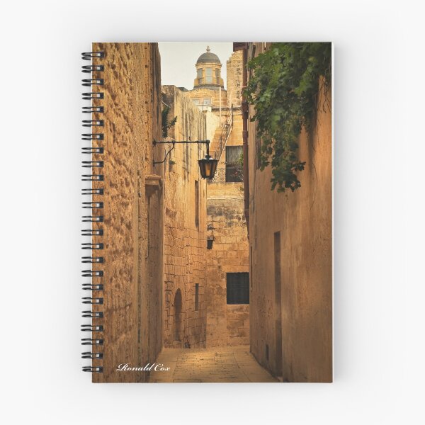 Aperçu de l'œuvre Mdina (2) créée et vendue par Ronald cox.