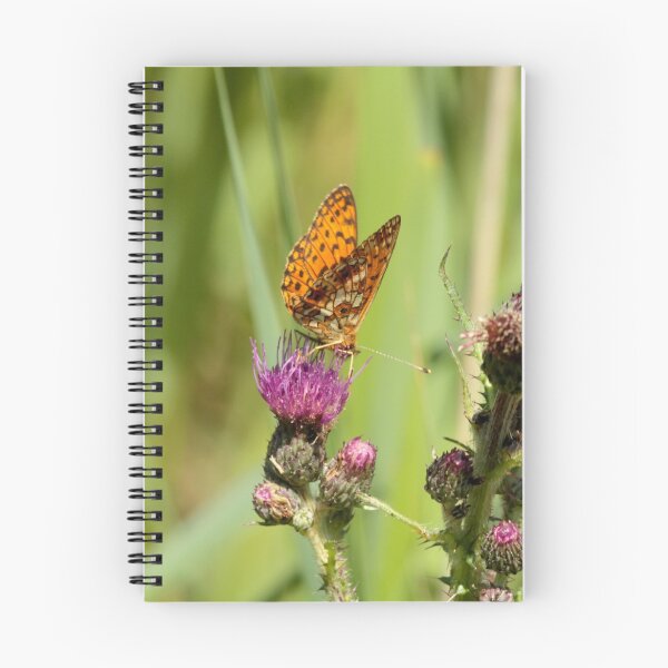Item preview, Pearl Bordered Fritillary designed and sold by Robert Abraham.