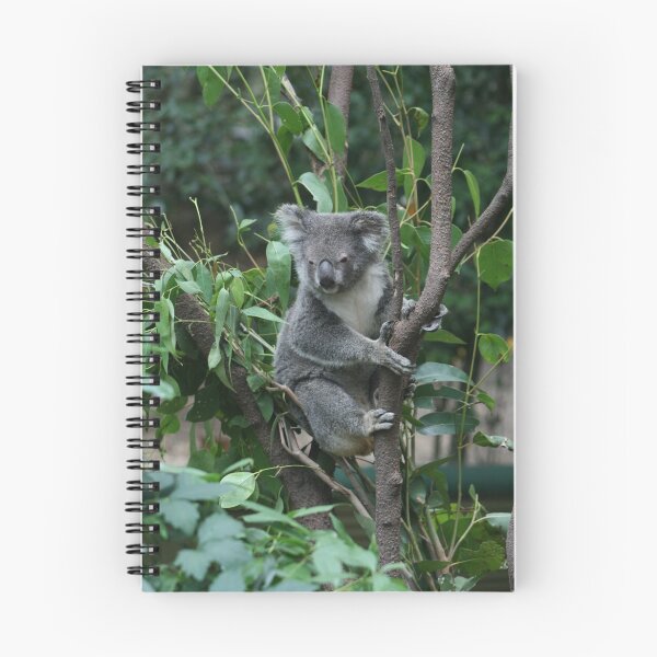 Item preview, Koala in a tree designed and sold by hedgie1.