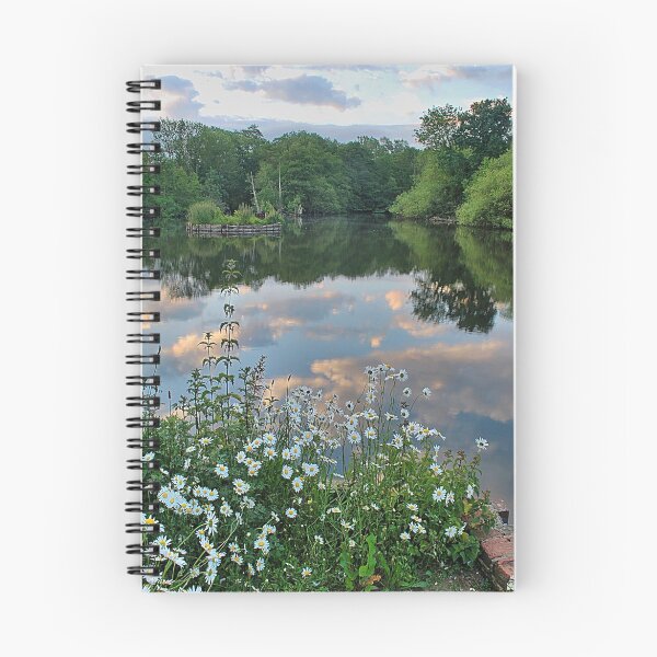 Item preview, Mill Pond designed and sold by relayer51.