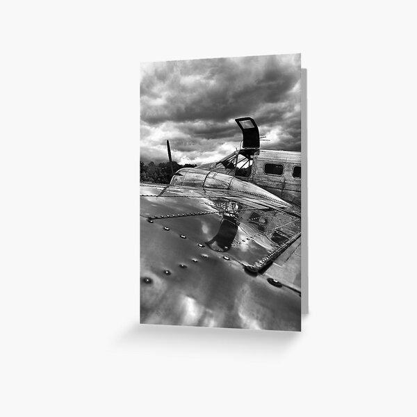 At The Airshow Greeting Card