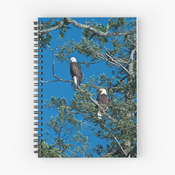 Artikelvorschau, Bald Eagles entworfen und verkauft von Rick Ruppenthal.