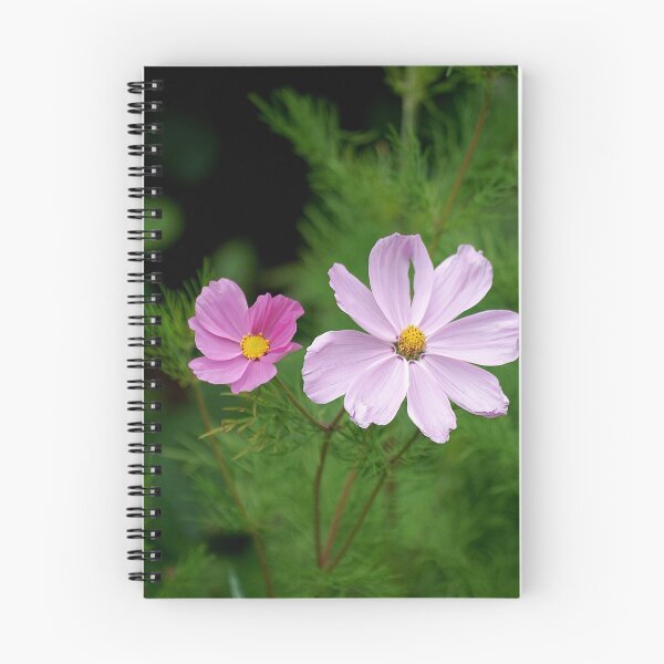 Item preview, pink cosmos designed and sold by Declan Carr.