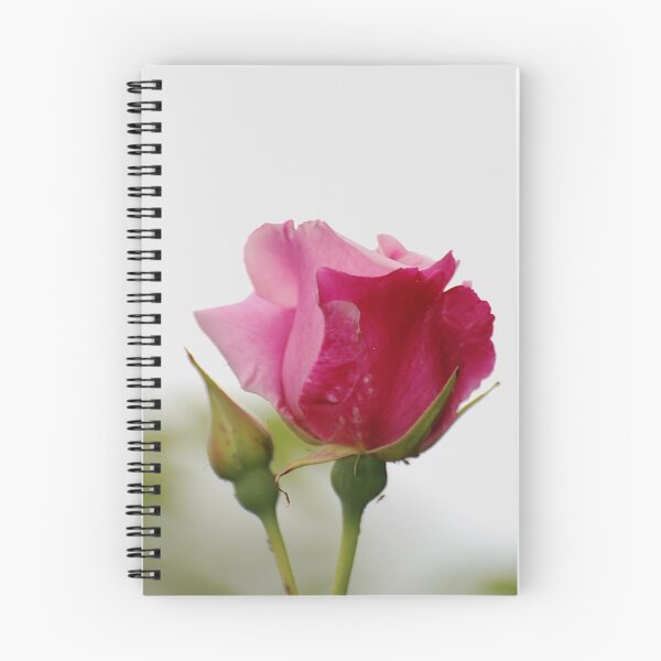 Item preview, Pink rose. designed and sold by Declan Carr.