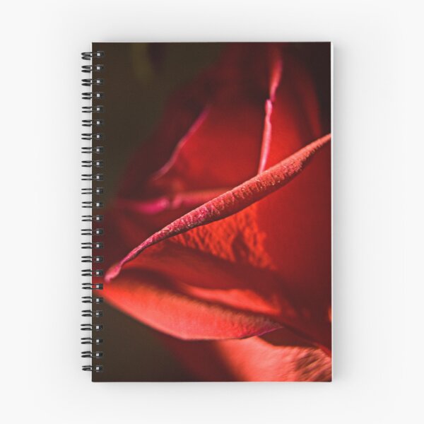 Item preview, Rose II designed and sold by Sandra Parlow.