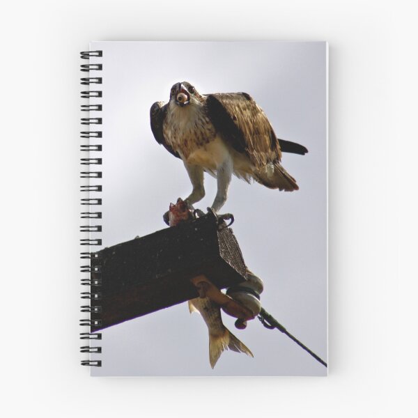 Item preview, Osprey ~ Greenough River ~ Cape Burney designed and sold by Pene Stevens.