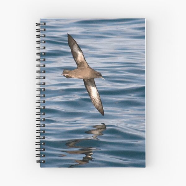 Item preview, sooty shearwater (Puffinus griseus) designed and sold by Grandalf.