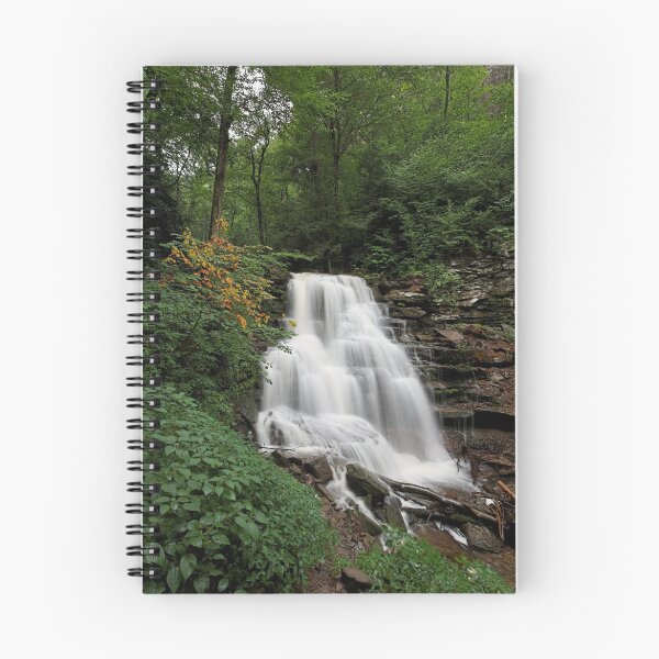 Aperçu de l'œuvre Erie Falls créée et vendue par Tim Devine.