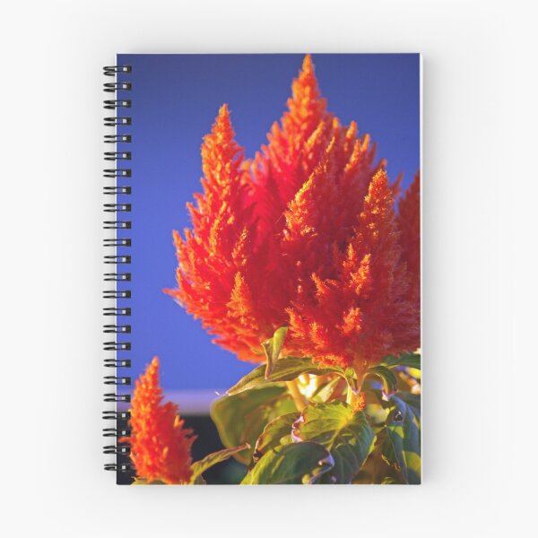 Item preview, Celosia designed and sold by Rich Summers Art.