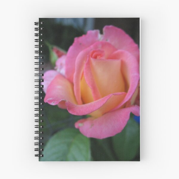 Item preview, Nature's Choreography Rose designed and sold by MarianBendeth.
