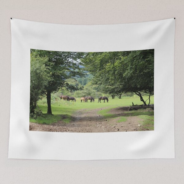 Item preview, Exmoor ponies, Somerset, UK designed and sold by photoslot.