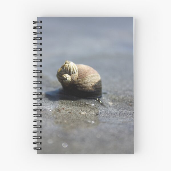 Item preview, Slow Traveler designed and sold by Rebecca Wilcox.