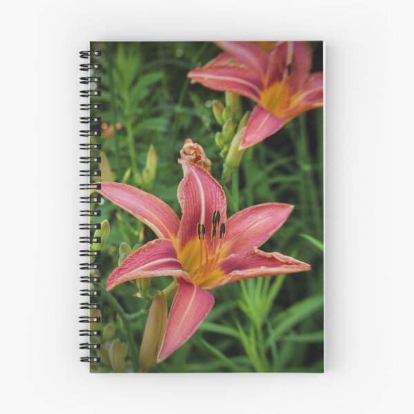 Artikelvorschau, Tiger Lilies entworfen und verkauft von aaronc.