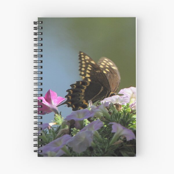 Artikelvorschau, Black Swallowtail II entworfen und verkauft von DottieDees.