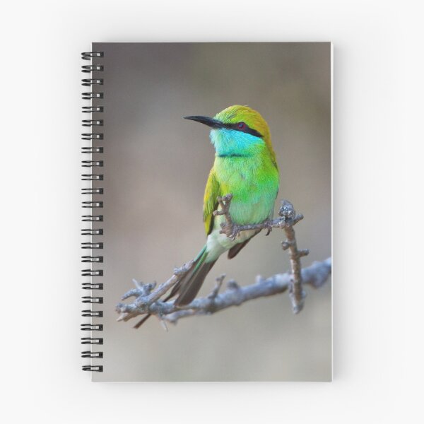 Item preview, Green Bee-eater designed and sold by Neil Bygrave (NATURELENS).