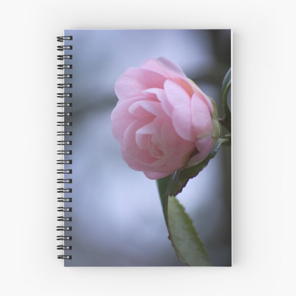Item preview, Perfect Pink designed and sold by Diana Mankowski.