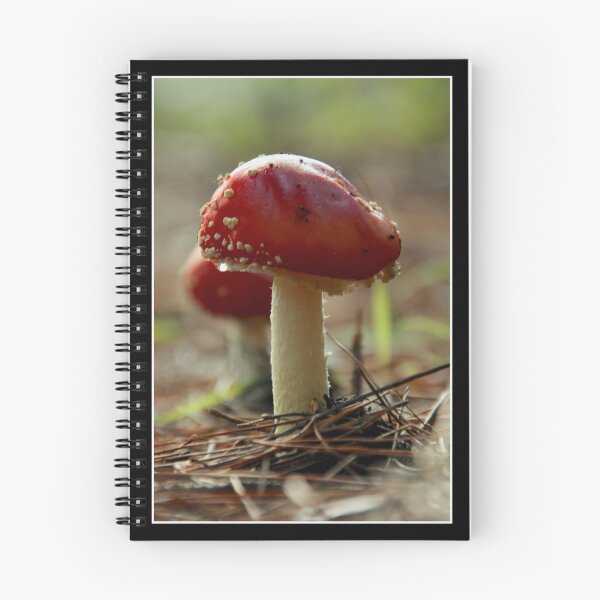 Artikelvorschau, Red Shrooms... entworfen und verkauft von Seany71.
