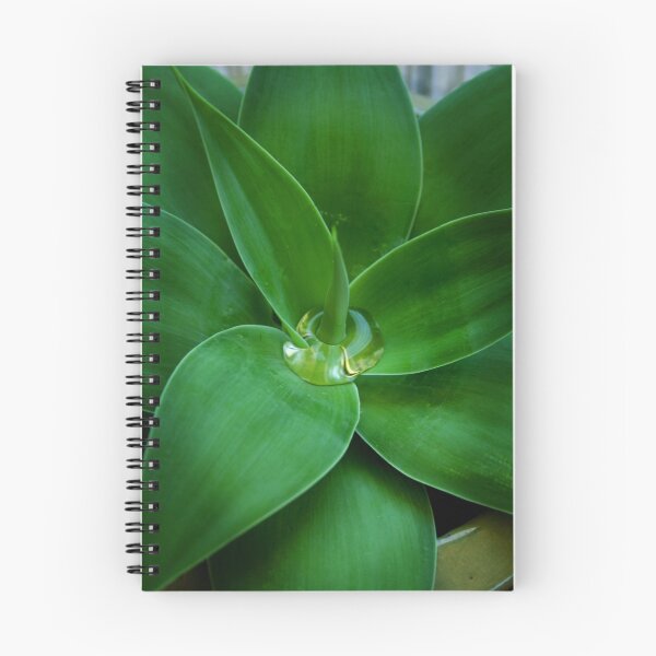 Item preview, Agave tears designed and sold by Miriam Shilling.