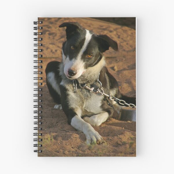 Item preview, MATEY designed and sold by Helen Akerstrom Photography.